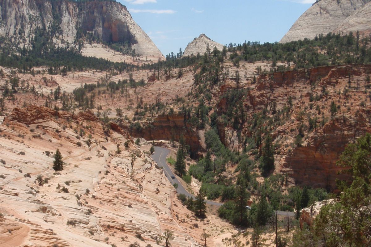 The Zion–Mount Carmel Highway winding through pale slickrock and pine trees on the east side of Zion National Park