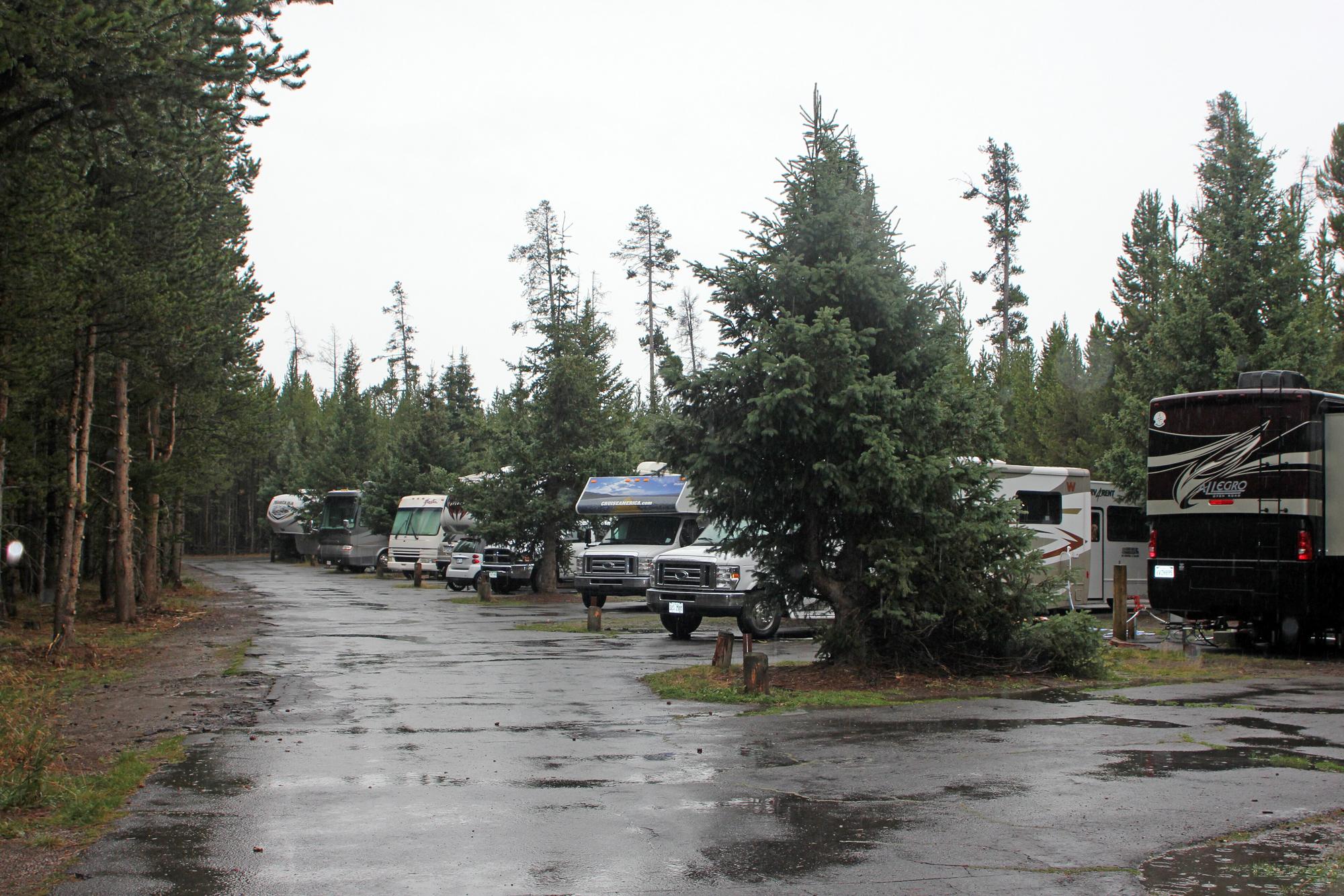 RVs parked at Fishing Bridge RV Park, Yellowstone