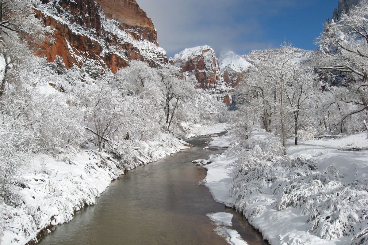 Fresh snow on the trees and banks along the Virgin River in Zion Canyon