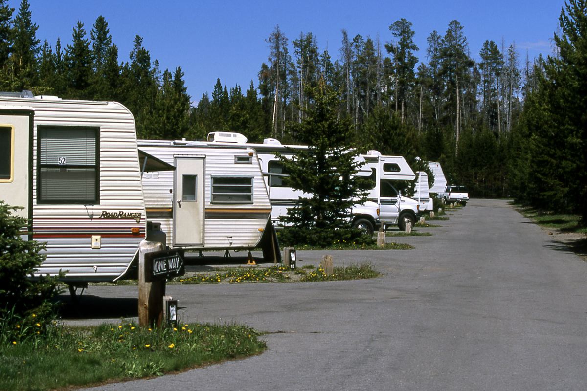 A row of motorhomes and trailers parked along a paved loop at Fishing Bridge RV Park, Yellowstone