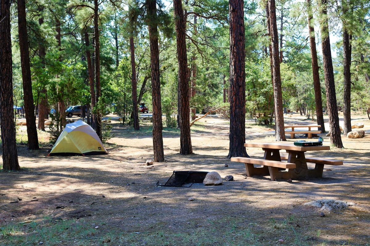 A campsite with a picnic table and a tent under ponderosa pines, Mather Campground, Grand Canyon South Rim