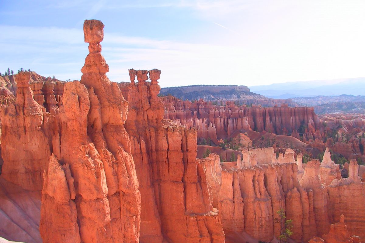 Thor&rsquo;s Hammer, a tall orange hoodoo with a balanced cap rock, in Bryce Canyon