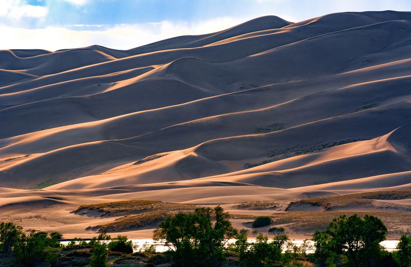 Sharp sand dune ridges in late-afternoon light at Great Sand Dunes, Colorado