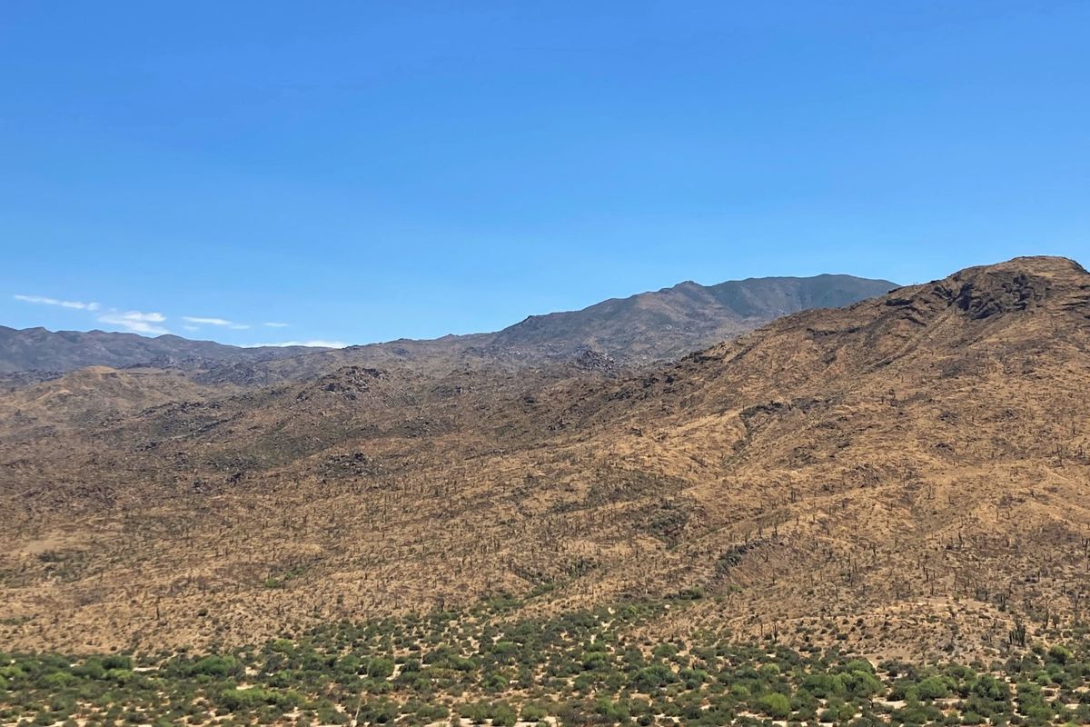 Brown, rugged desert mountains near Apache Junction under a clear blue sky, with green desert scrub in the foreground