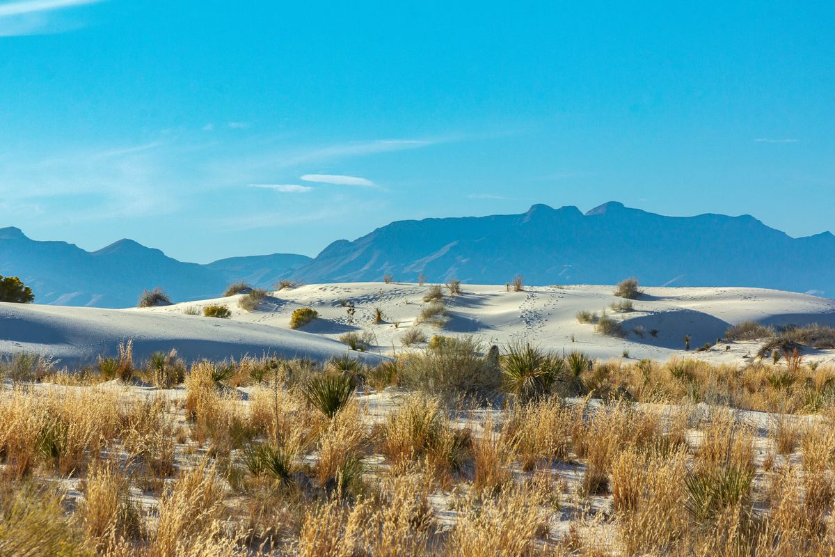 White gypsum dunes behind tufts of dry grass at White Sands National Park, with blue mountains on the horizon