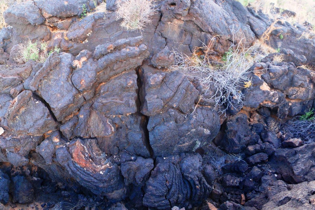 Close-up of black, cracked lava rock with dry grass and small shrubs at the Valley of Fires, New Mexico